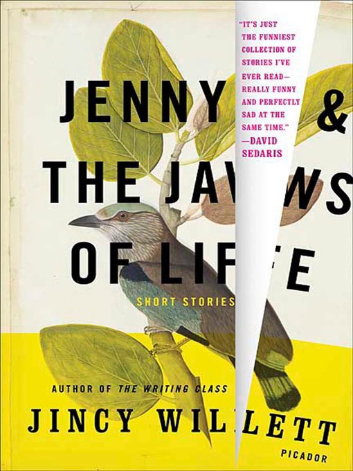 Title details for Jenny and the Jaws of Life by Jincy Willett - Wait list